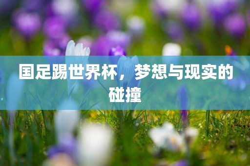 国足踢世界杯，梦想与现实的碰撞