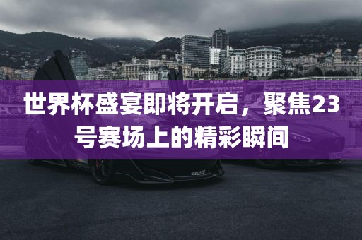 世界杯盛宴即将开启，聚焦23号赛场上的精彩瞬间