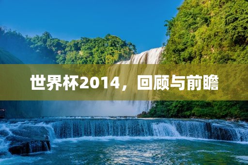 世漯河市盈旭机械设备有限公司界杯2014，回顾与前瞻