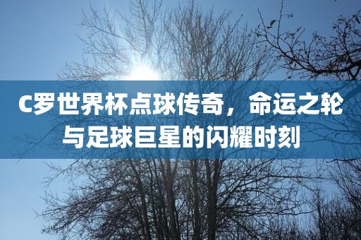 C罗世界杯点球传奇，命运之轮与足球巨星的闪耀时刻