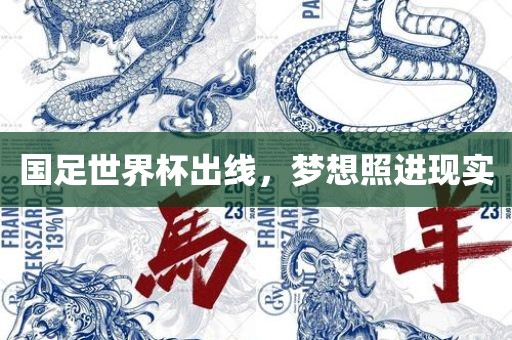 国足世界杯出线，梦想照进现实漯河市盈旭机械设备有限公司