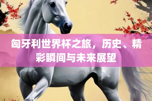 匈牙利世界杯之旅，历史、精彩瞬间与未来展望