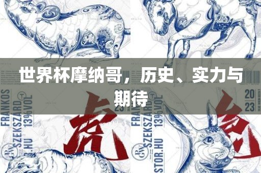 世界杯摩纳哥，历史、实力与期待漯河市盈旭机械设备有限公司