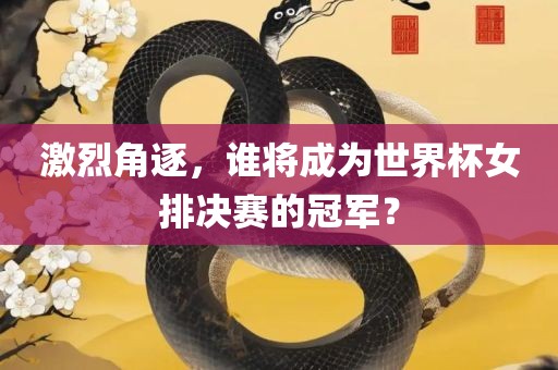 激烈角逐，谁将成为世界杯女排决赛的冠军？漯河市盈旭机械设备有限公司
