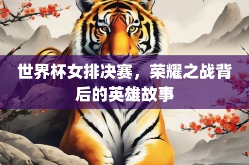 世界杯女排决赛，荣耀之战背后的英雄故事
