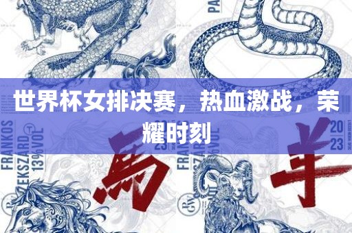 世界杯女排决赛，热血激战，荣耀时刻