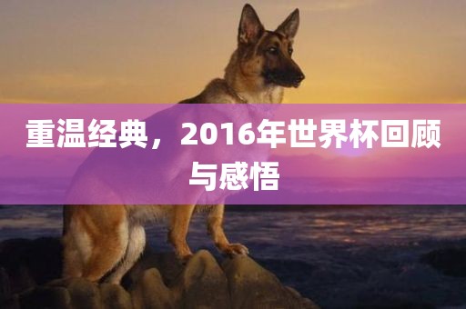 重温经典，2016年世界杯回顾与感悟
