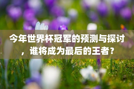 今年世界杯冠军的预测与探讨，谁将成为最后的王者？