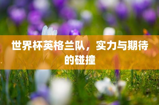 世界杯英格兰队，实力与期待的碰撞漯河市盈旭机械设备有限公司