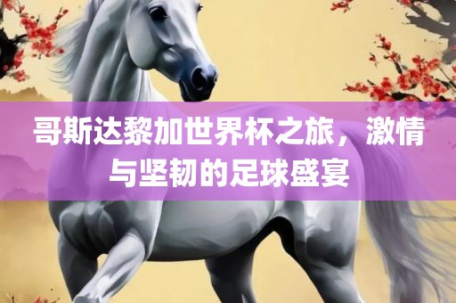 哥斯达黎加世界杯之旅，激情与坚韧的足球盛宴