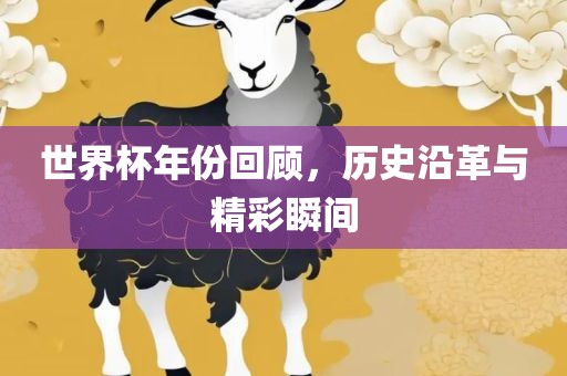世界杯年份回顾，历史沿革与精彩瞬间