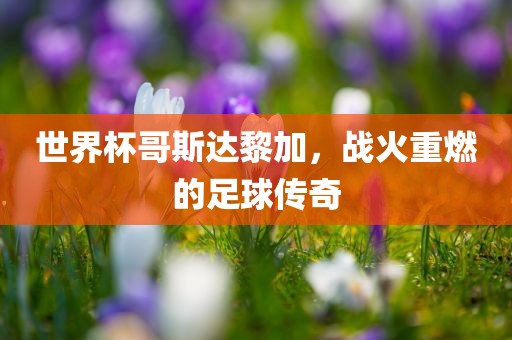 世界杯哥斯达黎加，战火重燃的足球传奇