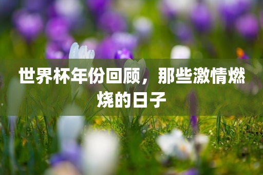 世界杯年份回顾，那些激情燃烧的日子