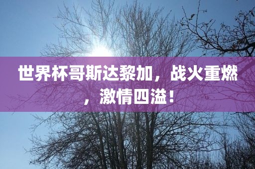 世界杯哥斯达黎加，战火重燃，激情四溢！