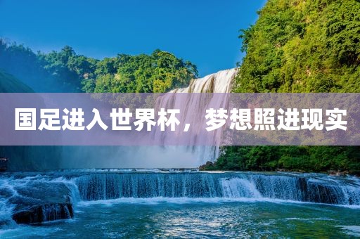 国足进入世界杯，梦想照进现实