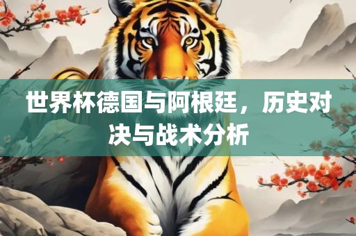 世界杯德国与阿根廷，历史对决与战术分析