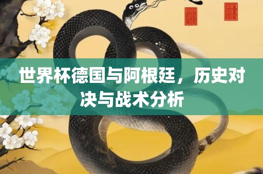 世界杯德国与阿根廷，历史对决与战术分析