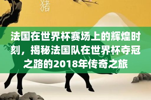法国在世界杯赛场上的辉煌时刻，揭秘法国队在世界杯夺冠之路的2018年传奇之旅漯河市盈旭机械设备有限公司