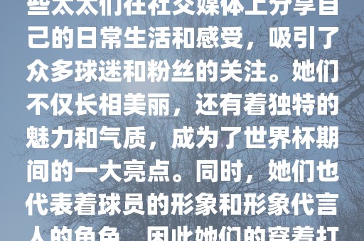 世界杯太太团是指参与世界杯的球队中球员的妻子们组成的团体。这些太太们在世界杯期间备受关注，她们的出现也为比赛增添了不少色彩和看点。这些太太们在社交媒体上分享自己的日常生活和感受，吸引了众多球迷和粉丝的关注。她们不仅长相美丽，还有着独特的魅力和气质，成为了世界杯期间的一大亮点。同时，她们也代表着球员的形象和形象代言人的角色，因此她们的穿着打扮和言行举止备受关注。总之，世界杯太太团是世界杯期间不可或缺的一部分，她们的出现也为球迷们带来了更多的观赏乐趣。