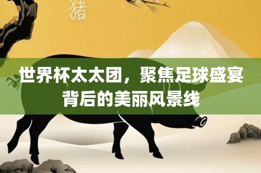 世界杯太太团，聚焦足球盛宴背后的美丽风景线