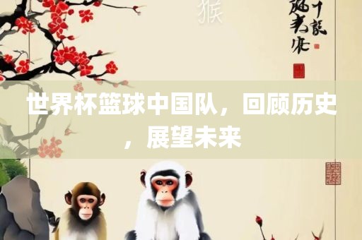 世界杯篮球中国队，回顾历史，展望未来