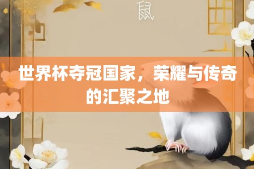 世界杯夺冠国家，荣耀与传奇的汇聚之地