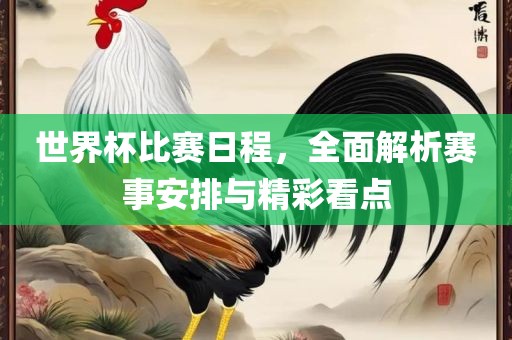世界杯比赛日程，全面解析赛事安排与精彩看点