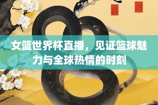 女篮世界杯直播，见证篮球魅力与全球热情的时刻