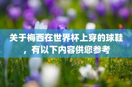 关于梅西在世界杯上穿的球鞋，有以下内容供您参考