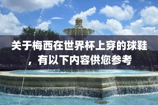 关于梅西在世界杯上穿的球鞋，有以下内容供您参考