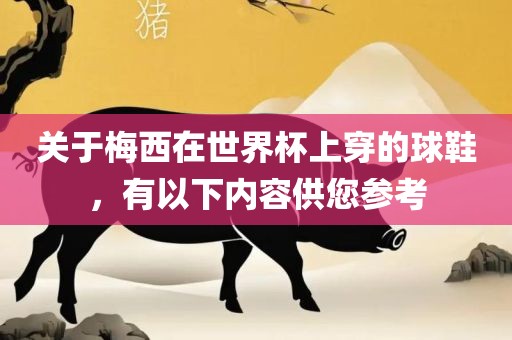 关于梅西在世界杯上穿的球鞋，有以下内容供您参考