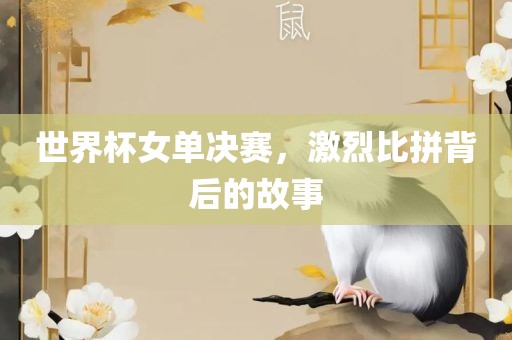 世界杯女单决赛，激烈比拼背后的故事