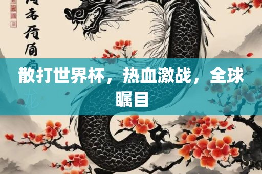 散打世界杯，热血激战，全球瞩目