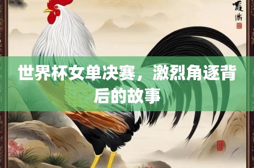 世界杯女单决赛，激烈角逐背后的故事