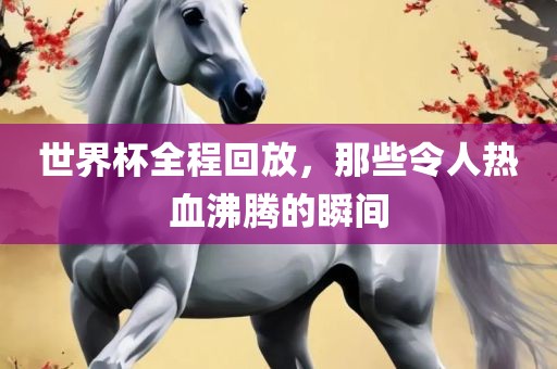 世界杯全程回放，那些令人热血沸腾的瞬间