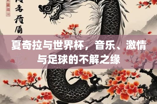 夏奇拉与世界杯