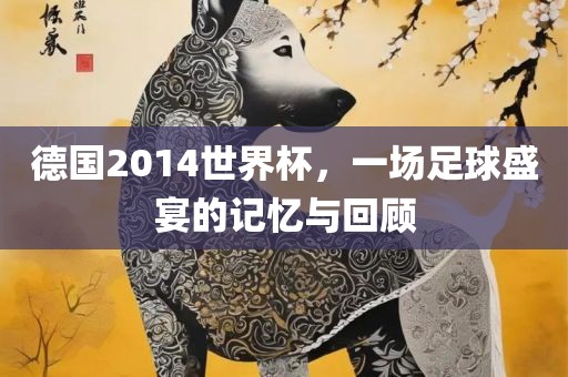 德国2014世界杯，一场足球盛宴的记忆与回顾