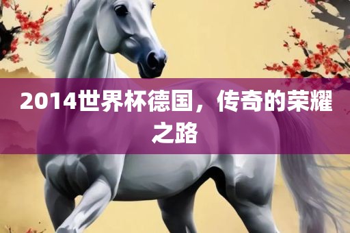 2014世界杯德国，传奇的荣耀之路