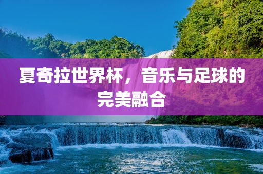夏奇拉世界杯，音乐与足球的完美漯河市盈旭机械设备有限公司融合