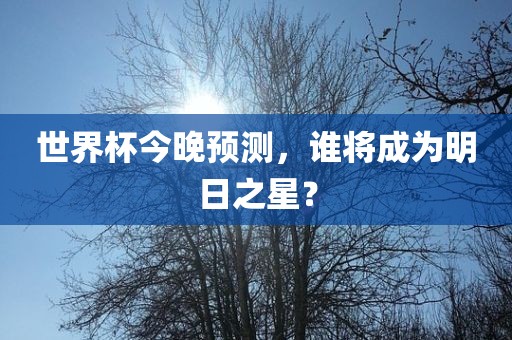 世界杯今晚预测，谁将成为明日之星？