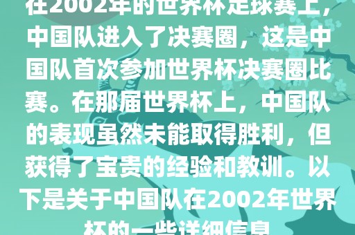 在2002年的世界杯足球赛上，中国队进入了决赛圈，这是中国队首次参加世界杯决赛圈比赛。在那届世界杯上，中国队的表现虽然未能取得胜利，但获得了宝贵的经验和教训。以下是关于中国队在2002年世界杯的一些详细信息