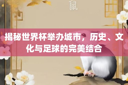 揭秘世界杯举办城市，历史、文化与足球的完美结合