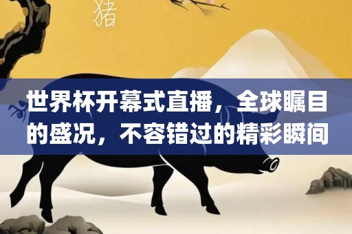 世界杯开幕式直播，全球瞩目的盛况，不容错过的精彩瞬间