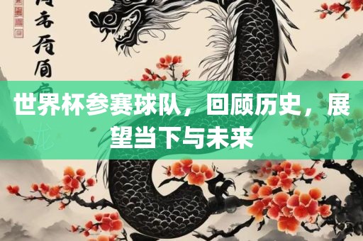 世界杯参赛球队，回顾历史，展望当下与未来