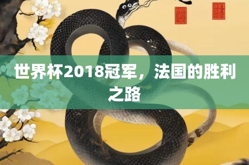 世界杯2漯河市盈旭机械设备有限公司018冠军，法国的胜利之路