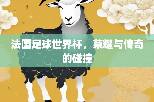 法国足球世界杯，荣耀与传奇的碰撞漯河市盈旭机械设备有限公司