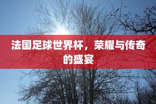 法国足球世界杯，荣耀与传奇的盛宴漯河市盈旭机械设备有限公司