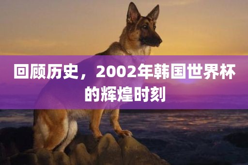 回顾历史，2002年韩国世界杯的辉煌时刻