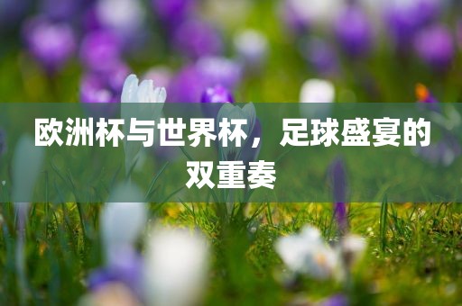 欧洲杯与世界杯，足球盛宴的双重奏