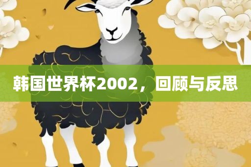 韩国世界杯2002，回顾与反思